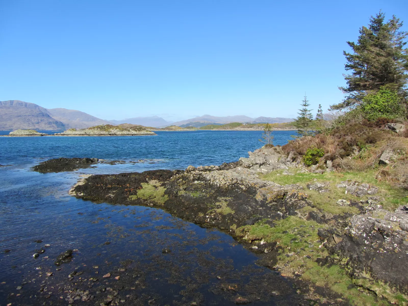 Antje Krieger_goforyou_Hypnose_Burnout_Abnehmen_Stress_Trauer_Bild Rezession5