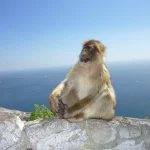 Antje Krieger_goforyou_Hypnose_Burnout_Abnehmen_Stress_Trauer_Portfolio10