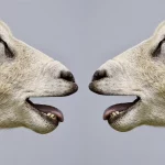 Antje Krieger_goforyou_Hypnose_Burnout_Abnehmen_Stress_Trauer_Portfolio8